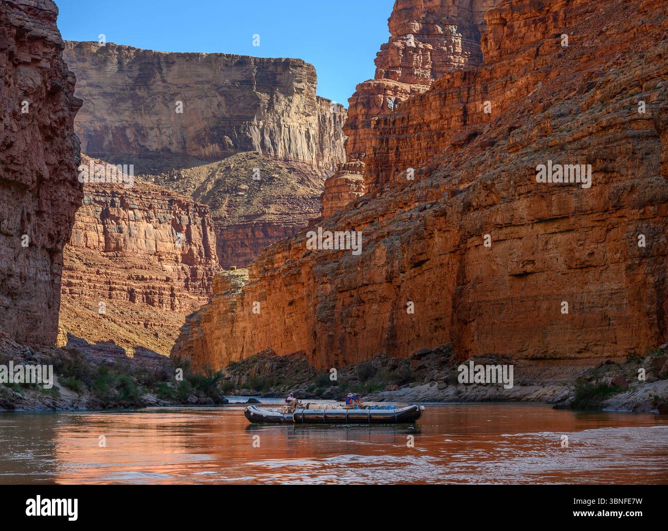 Rafting sur le fleuve Colorado dans le parc national du Grand Canyon, Arizona. Banque D'Images