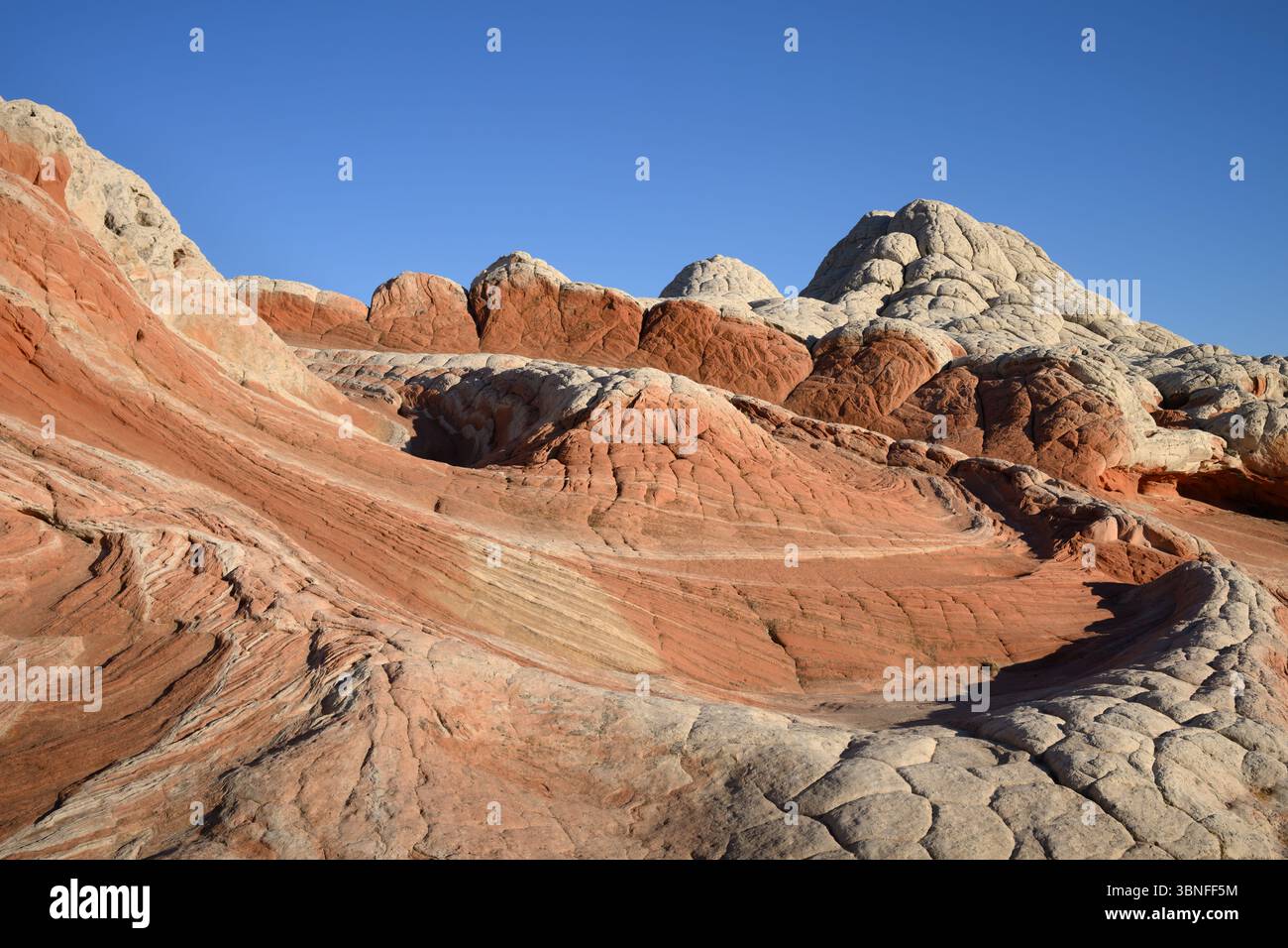 Formations de grès Navajo à White Pocket dans Vermillion Cliffs National Monument, Arizona. Banque D'Images