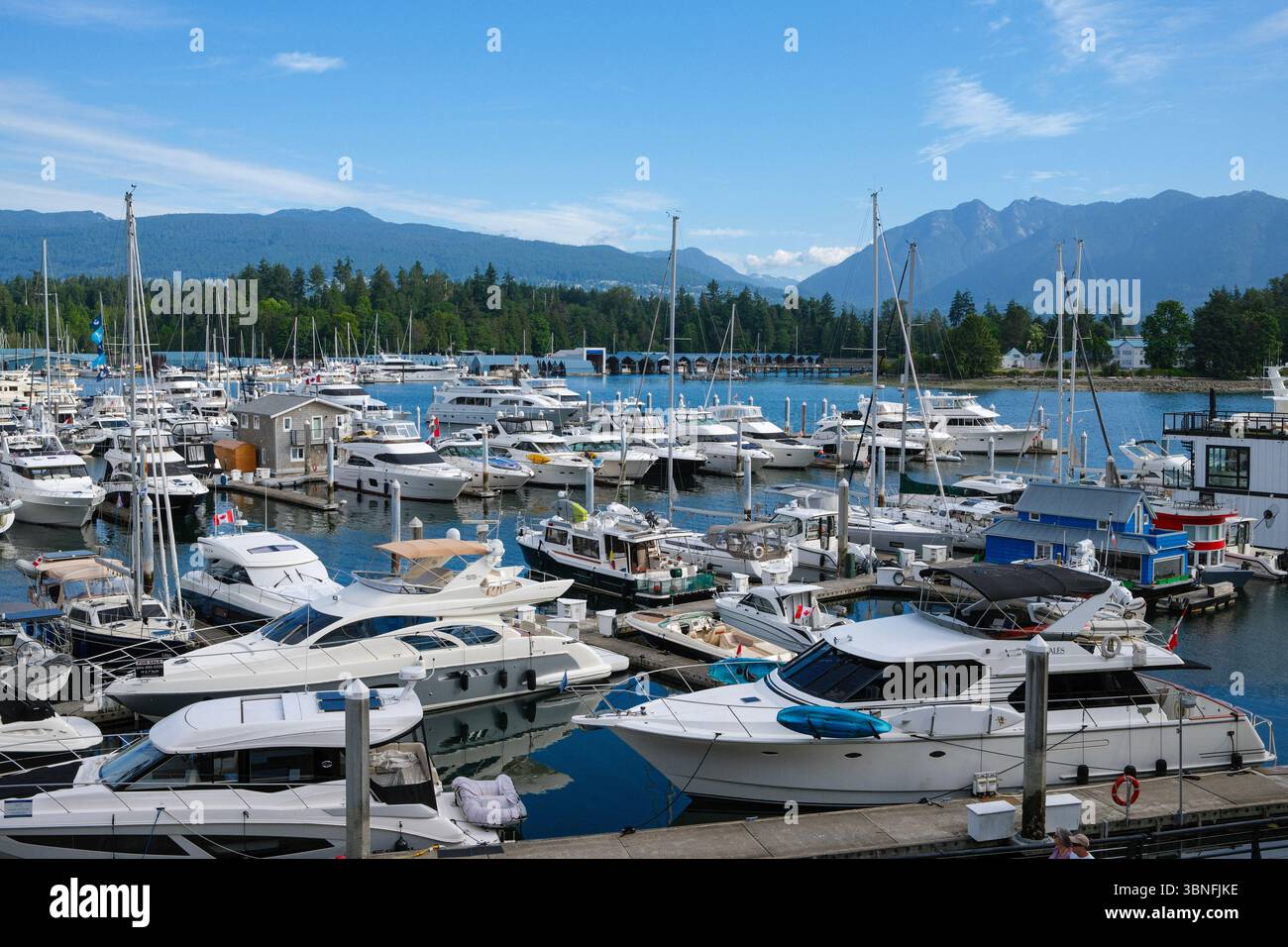 Coal Harbour Marina avec Stanley Park et les montagnes North Shore de North Vancouver derrière. Banque D'Images