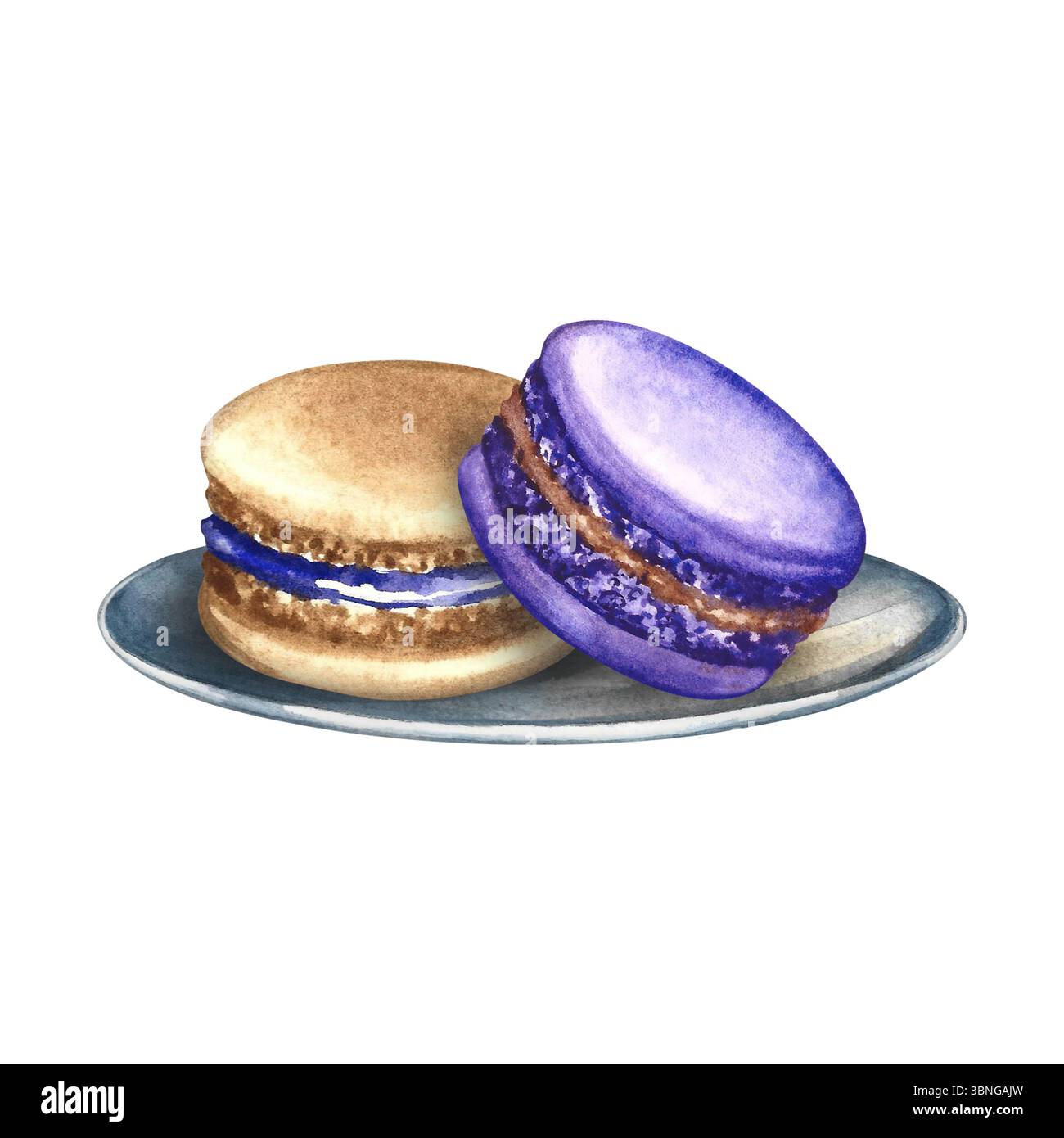 Biscuits aux amandes macarons sur une soucoupe. Illustration d'aquarelle dessinée à la main. Couleurs violet et pain. Un élément de votre design. Pour les bannières, les sites Web Banque D'Images