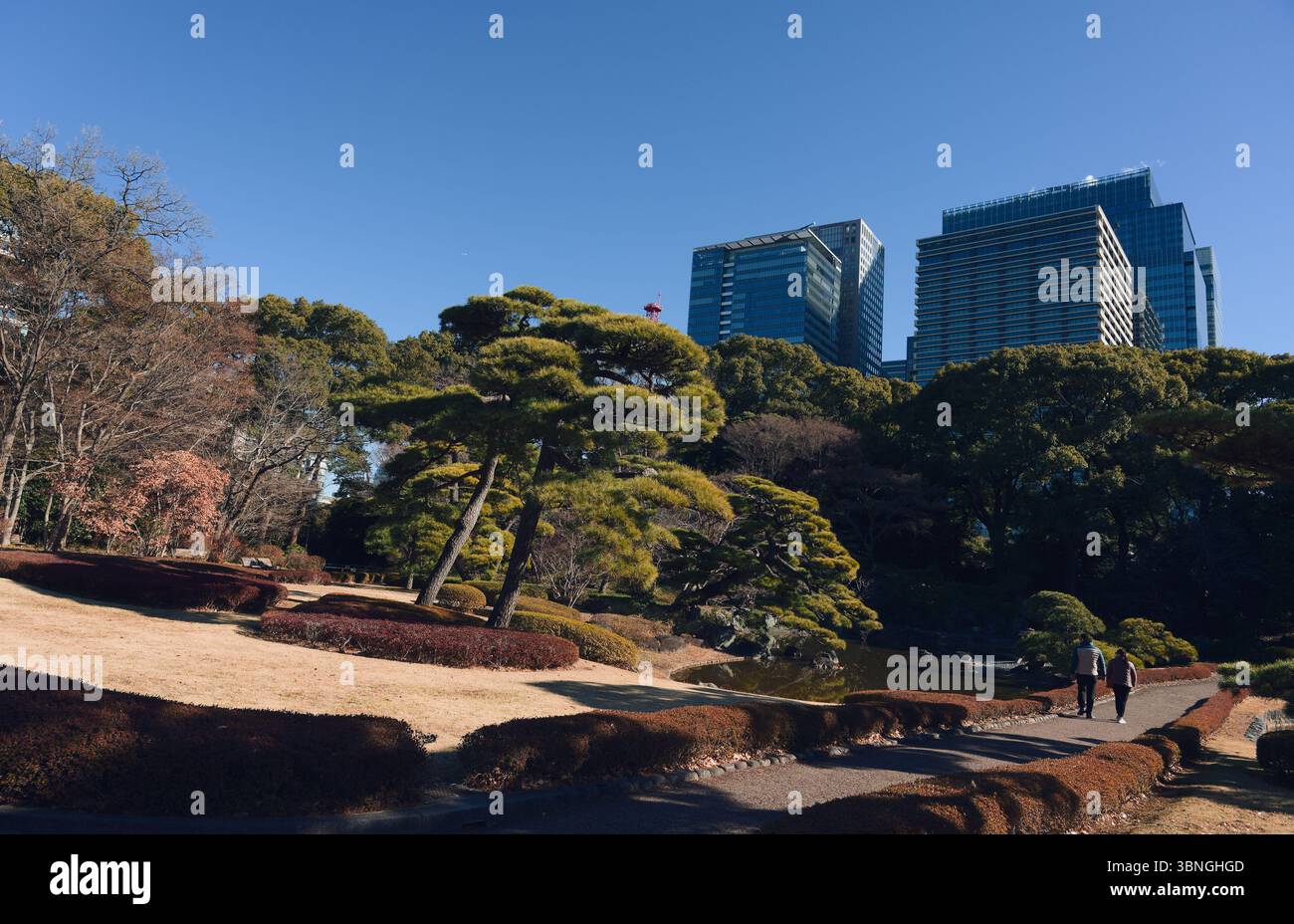Sentier à travers les jardins de l'est du palais impérial avec des arbres bien entretenus et des gratte-ciel en arrière-plan Banque D'Images