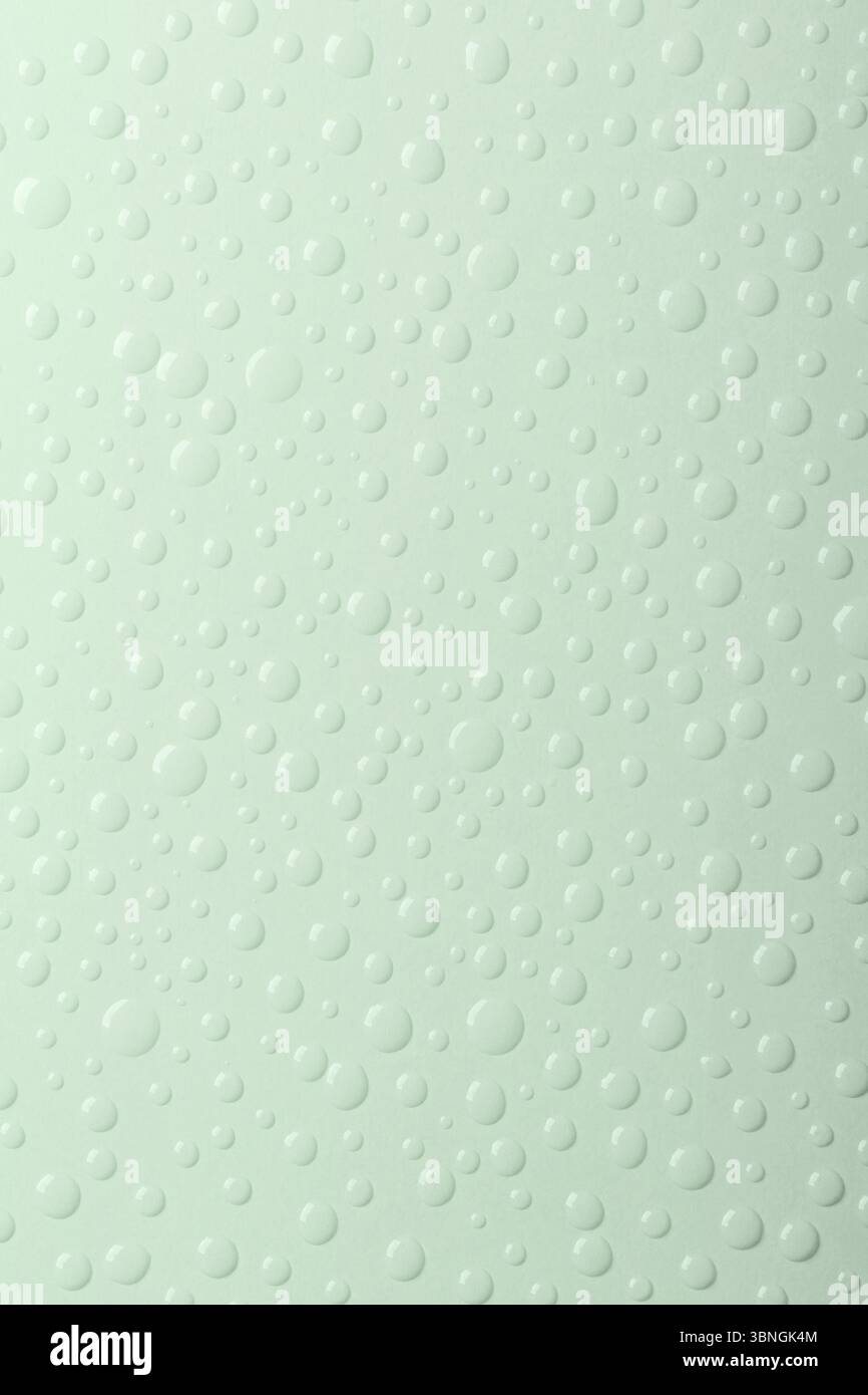 Fond vert clair avec des gouttes d'eau. Bannière avec des gouttes de pluie. Vue de dessus. Banque D'Images