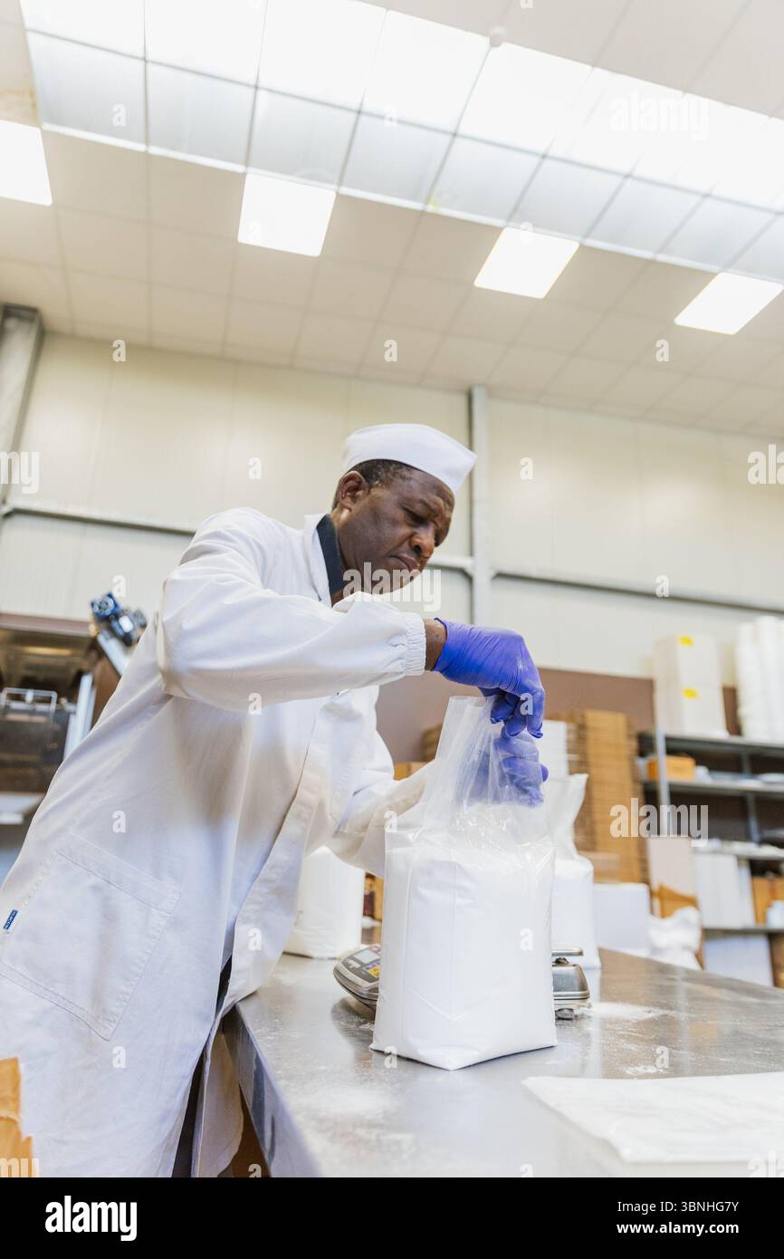 Ouvrier scellant un sac de glucose après pesée dans une installation de transformation des aliments. Banque D'Images
