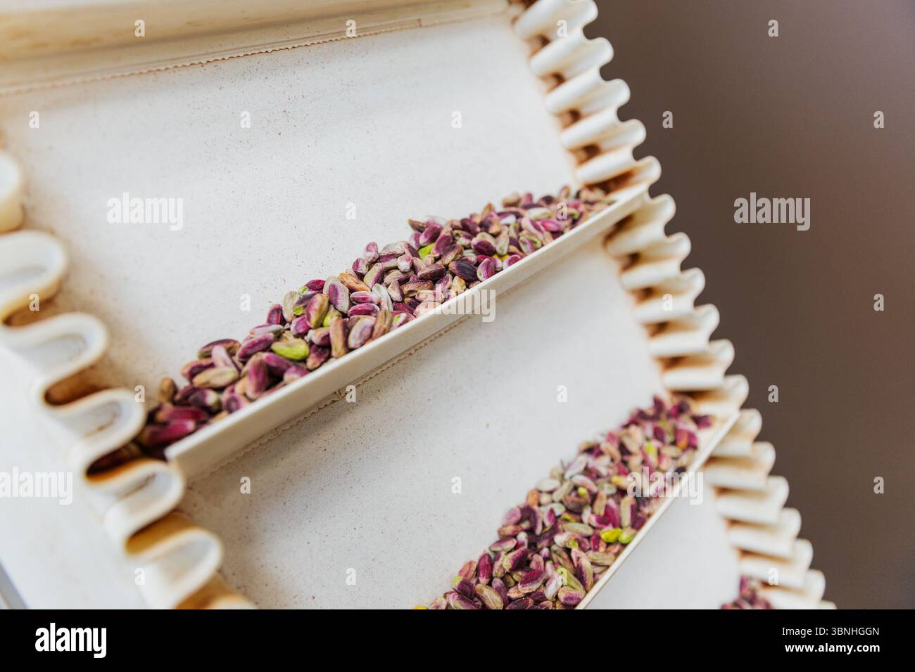 Vue horizontale des pistaches sèches sur un plateau prêt pour l'emballage dans l'installation alimentaire. Banque D'Images
