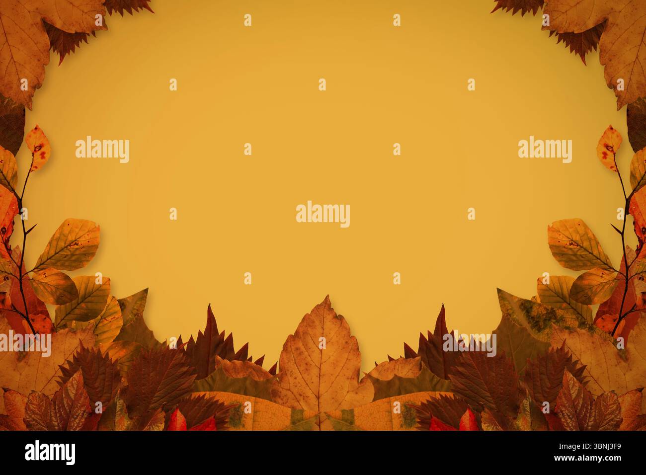 La bordure de feuille d'automne crée un cadre dégradé jaune doré dans un design plat, espace de copie Banque D'Images La bordure de feuille d'automne crée un cadre dégradé jaune doré dans un design plat, espace de copie Banque D'Images