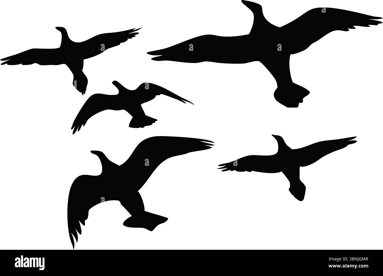 Silhouettes d'oiseaux volants vecteur, Clipart de flock noir, Art animal isolé, nature illustration de la faune, ailes étendues, contour simple, conceptions de groupe Illustration de Vecteur Silhouettes d'oiseaux volants vecteur, Clipart de flock noir, Art animal isolé, nature illustration de la faune, ailes étendues, contour simple, conceptions de groupe Illustration de Vecteur
