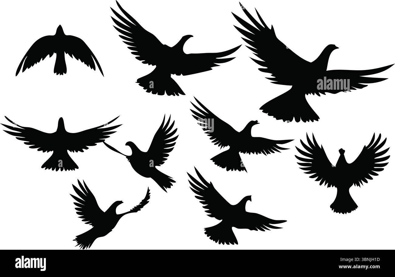 Silhouettes d'oiseaux volants vecteur, Clipart de flock noir, Art animal isolé, nature illustration de la faune, ailes étendues, contour simple, conceptions de groupe Illustration de Vecteur Silhouettes d'oiseaux volants vecteur, Clipart de flock noir, Art animal isolé, nature illustration de la faune, ailes étendues, contour simple, conceptions de groupe Illustration de Vecteur