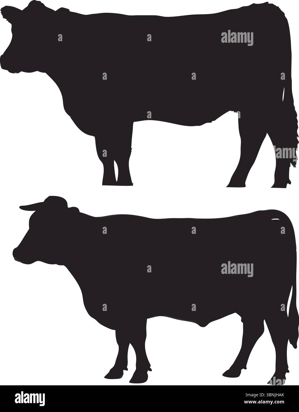 Vecteur de deux silhouettes de vache, Clipart de bétail noir, Art animal de ferme isolé, illustration de bétail nature, contour simple, conception rurale, produits laitiers, boeuf Illustration de Vecteur