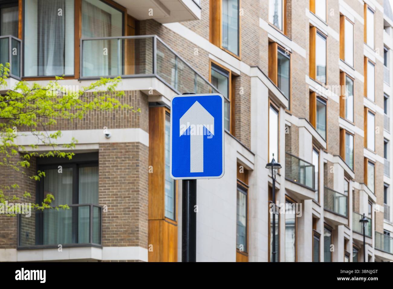 Panneau de signalisation bleu à sens unique avec flèche vers le haut sur la rue moderne de la ville près des appartements contemporains Banque D'Images