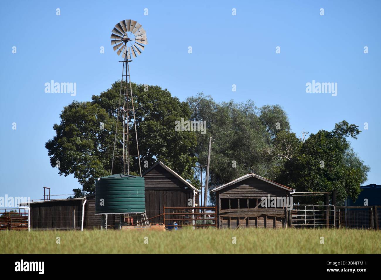 Moulin à vent de style traditionnel dans une ferme du district de South Burnett dans le Queensland, en Australie. Banque D'Images