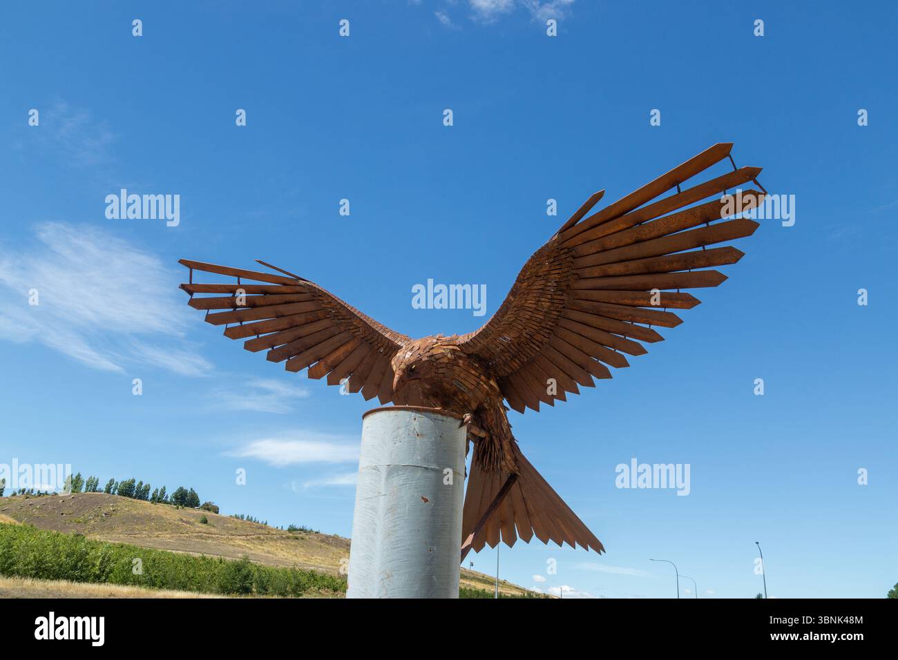 Karearea (faucon néo-zélandais natif) sculpture par Dan Kelly, sculpteur basé à Glenorchy Banque D'Images