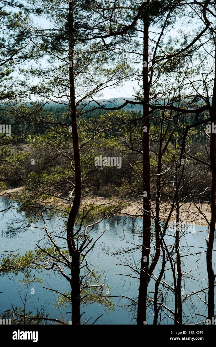 Une rivière Azur encadrée par des silhouettes d'arbres sous la lumière douce du jour. Un paysage naturel pittoresque, parfait pour les thèmes du voyage, de la nature et de la paix intérieure. Banque D'Images