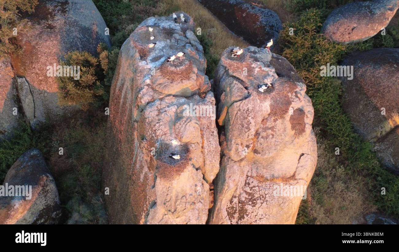 Vue aérienne de haut en bas de cigognes nichant sur des rochers de granit. Banque D'Images