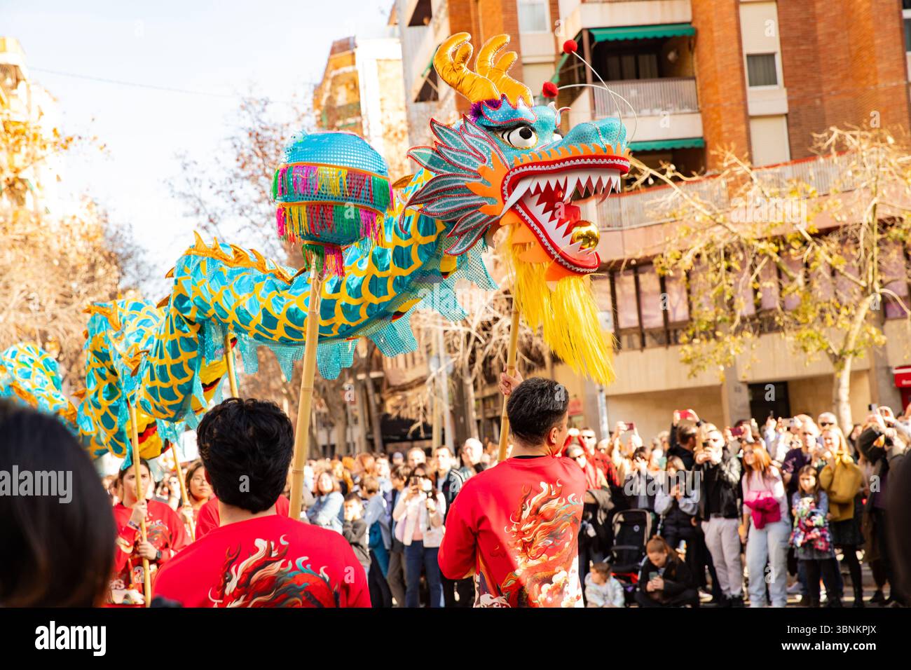 Danse du dragon chinois . Les Chinois célèbrent le nouvel an chinois en Espagne, Barcelone 01.25.2025 Banque D'Images