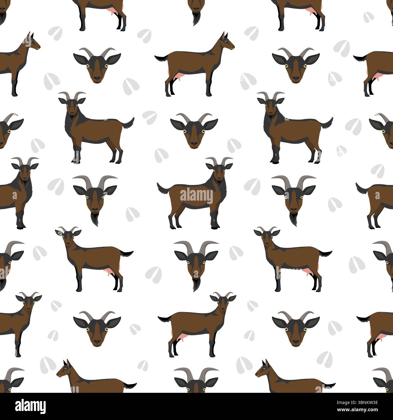Chèvre alpine. Conception infographique des races de chèvres. Motif plat d'élevage. Illustration vectorielle Illustration de Vecteur
