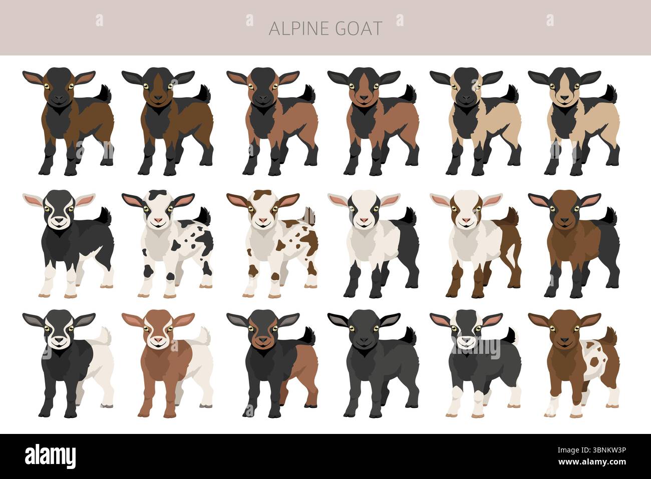 Chèvre alpine. Conception infographique des races de chèvres. Motif plat d'élevage. Illustration vectorielle Illustration de Vecteur