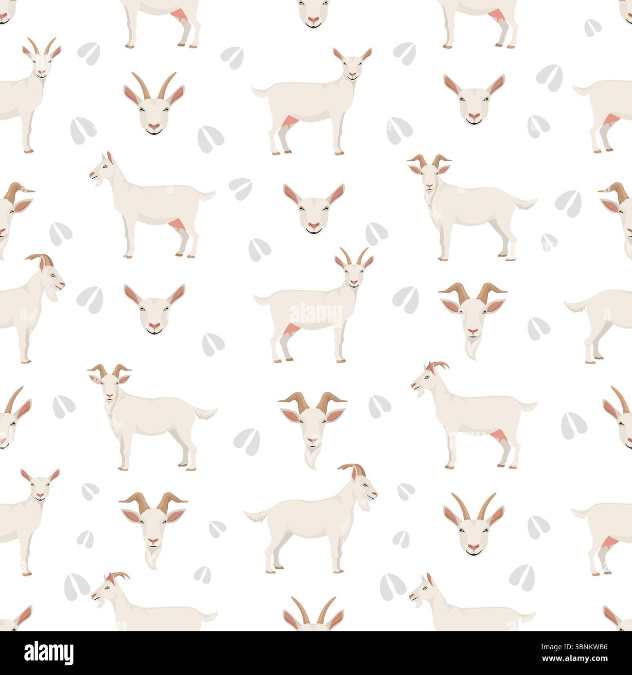 Chèvre Saanen. Conception infographique des races de chèvres. Motif plat d'élevage. Illustration vectorielle Illustration de Vecteur