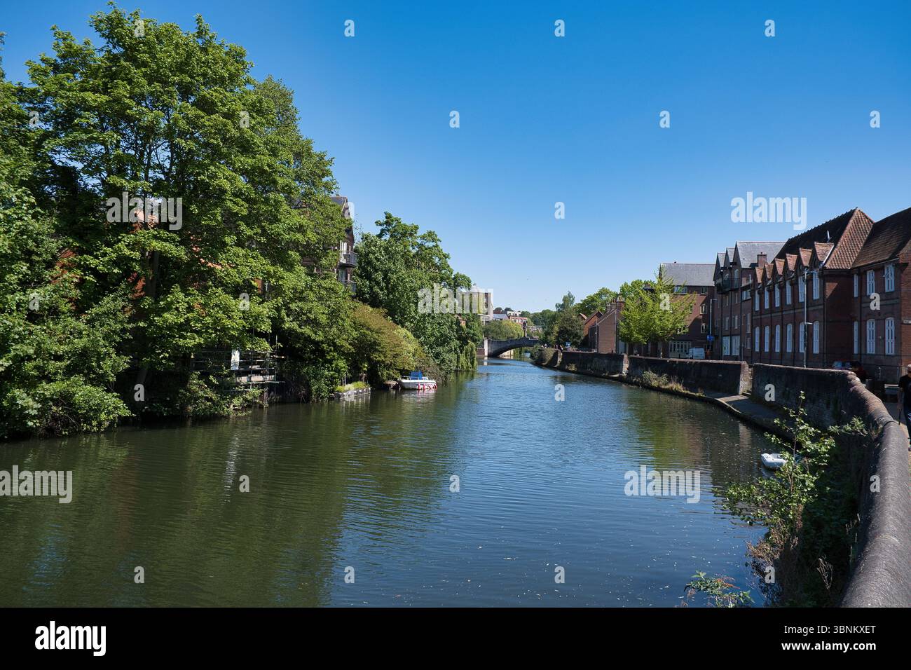 Vue sur la rivière Wensum à Norwich début mai... Banque D'Images