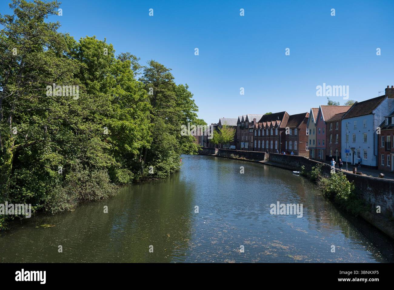 Vue sur la rivière Wensum à Norwich début mai... Banque D'Images