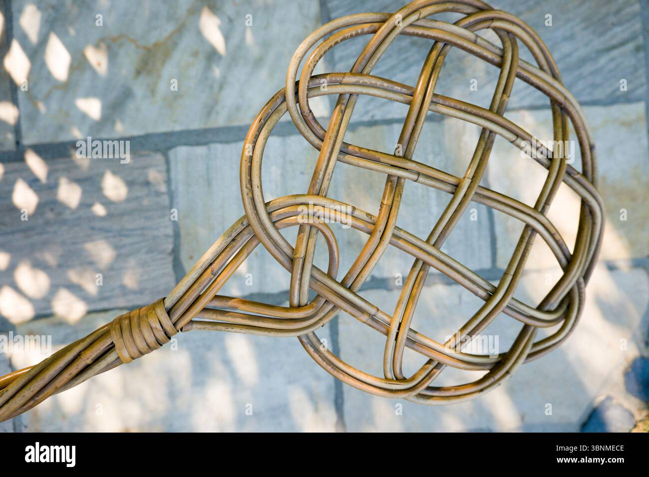 Batteur de tapis fabriqué à partir de saule (Salix viminalis) Banque D'Images