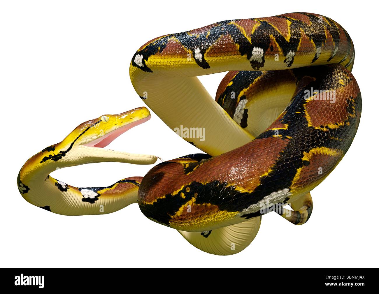 Rendu 3D d'un python réticulé ou Python reticulatus, une espèce de python trouvée en Asie du Sud-est Banque D'Images