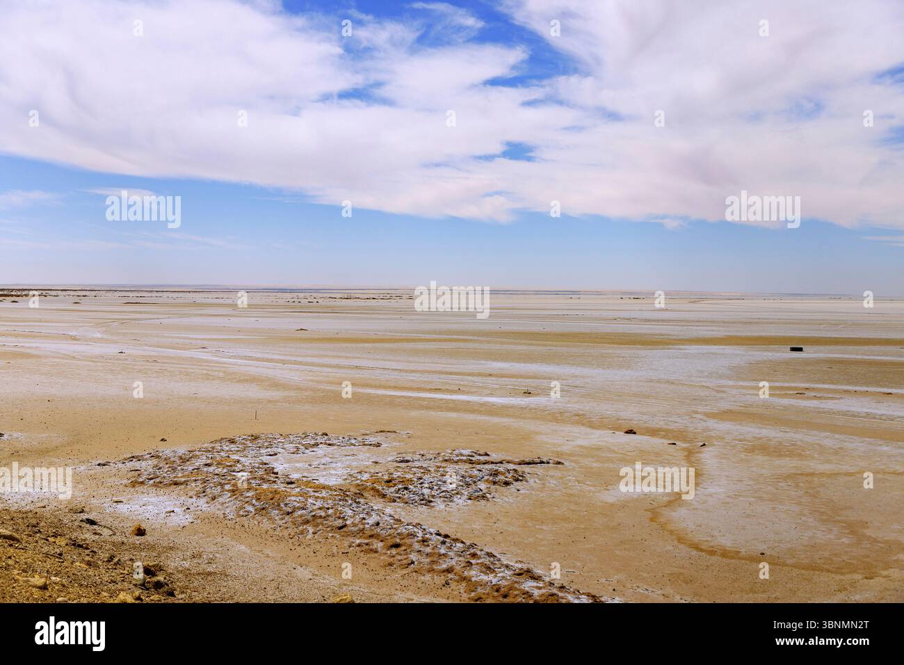 Lac salé de Chott el-Charsa et désert salé avec ruelles, Tunisie Banque D'Images