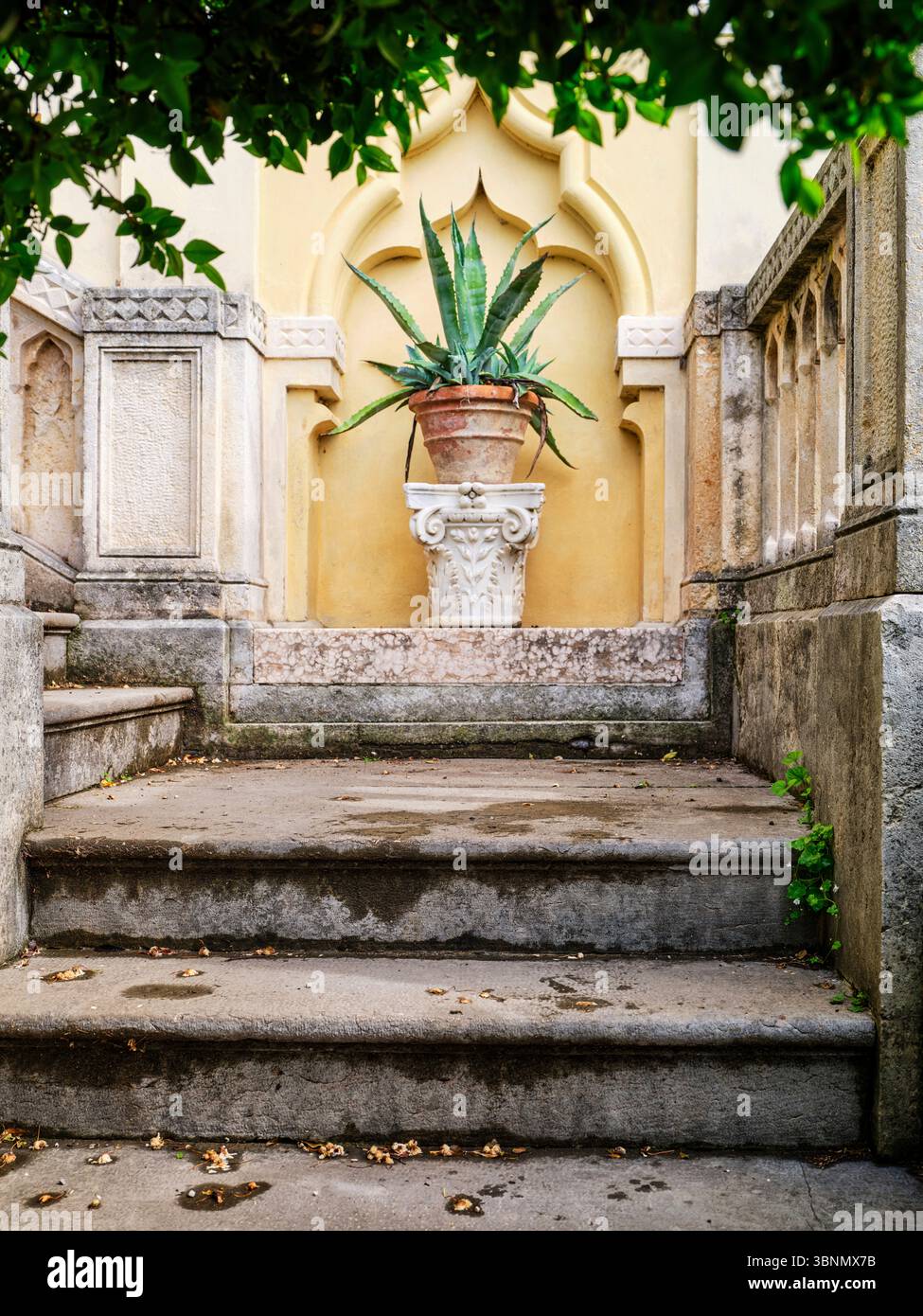 Italie, San Felice del Benaco, impressions sur l'Isola del Garda Banque D'Images