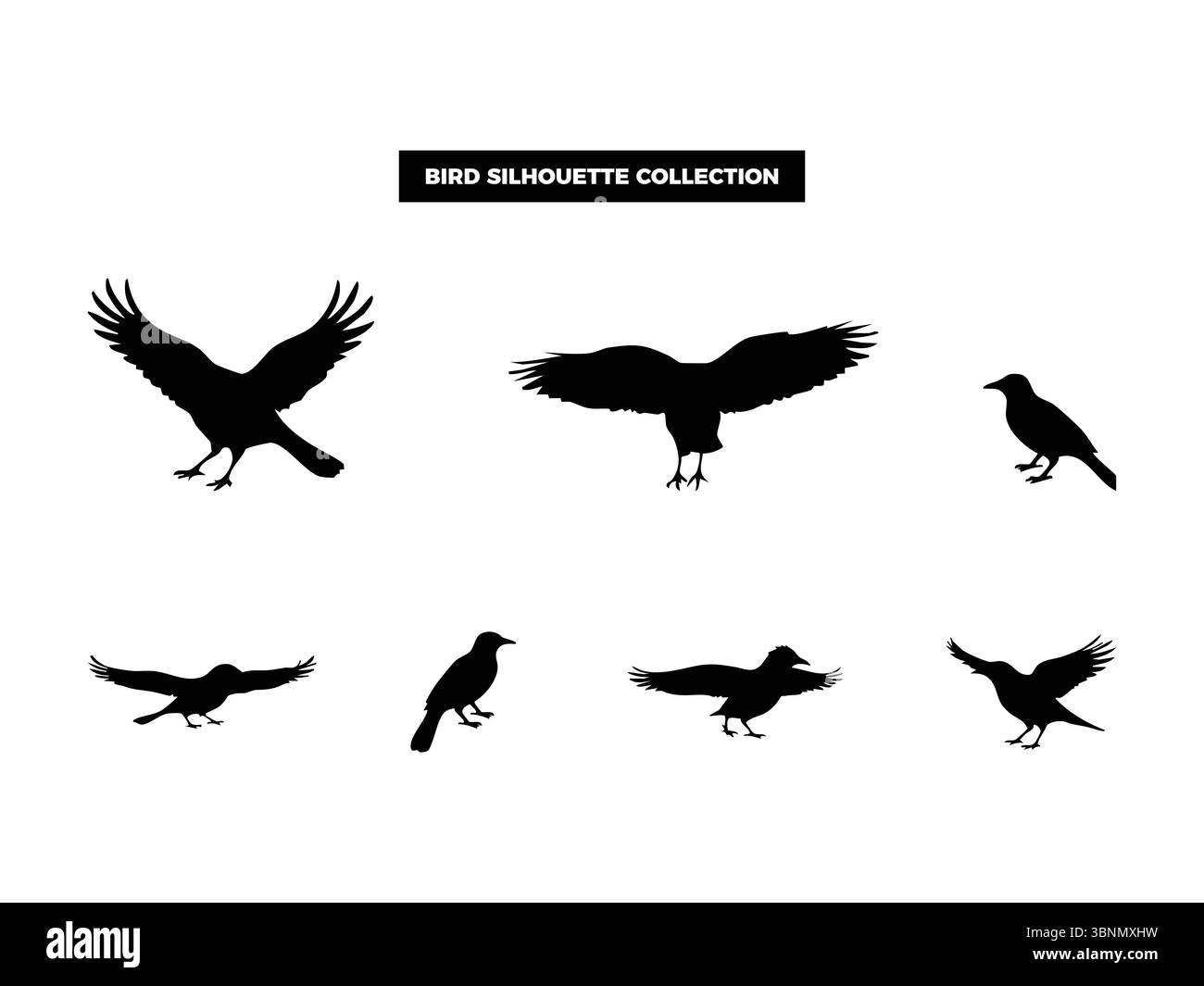 Silhouettes d'oiseaux vectoriels de haute qualité dans diverses poses, volantes, au repos et perchées. Idéal pour les logos, les t-shirts, les affiches et les proj de design sur le thème de la nature Illustration de Vecteur Silhouettes d'oiseaux vectoriels de haute qualité dans diverses poses, volantes, au repos et perchées. Idéal pour les logos, les t-shirts, les affiches et les proj de design sur le thème de la nature Illustration de Vecteur