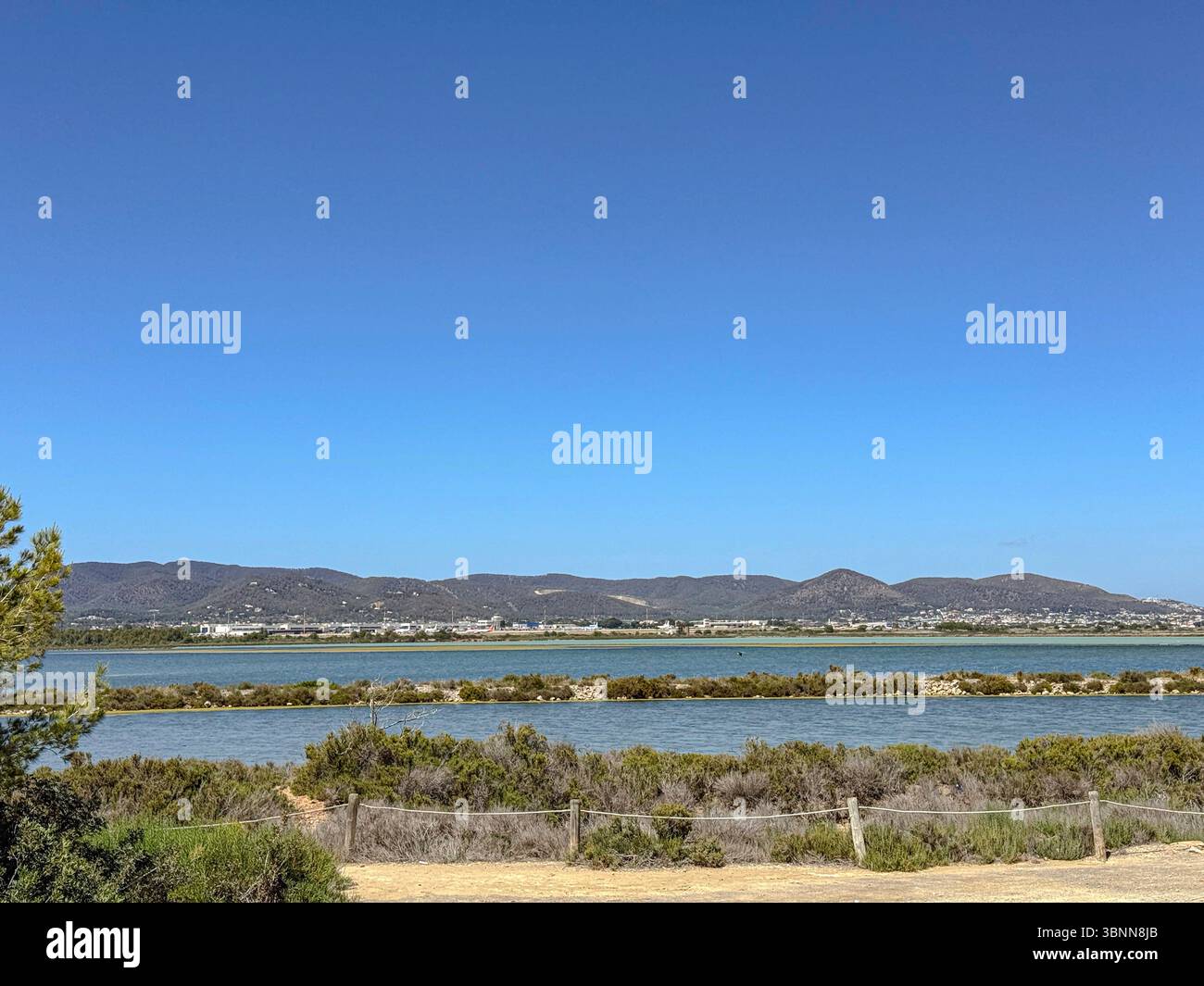 Parc Natural de ses Salines, Ibiza – zones humides côtières protégées, plaines salines et faune sauvage dans les Baléares - Image de stock capturée avec un smartphone