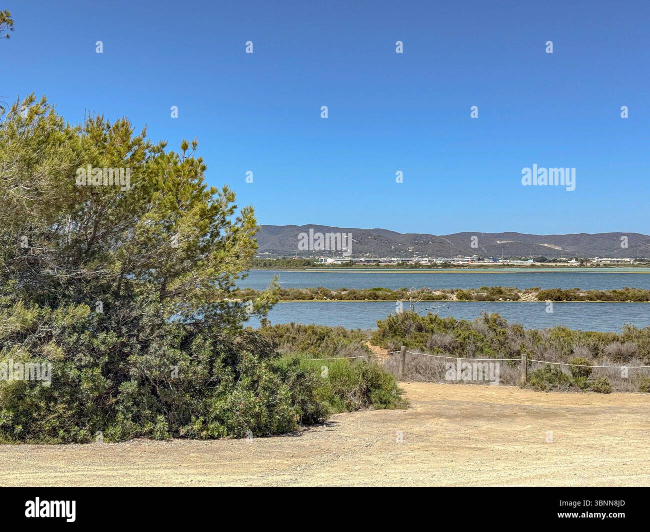 Parc Natural de ses Salines, Ibiza – zones humides côtières protégées, plaines salines et faune sauvage dans les Baléares - Image de stock capturée avec un smartphone