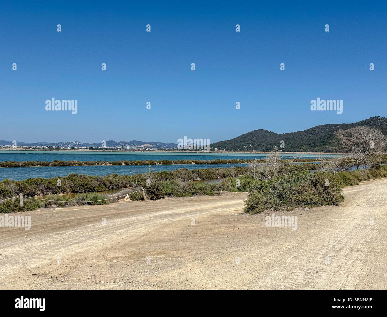 Parc Natural de ses Salines, Ibiza – zones humides côtières protégées, plaines salines et faune sauvage dans les Baléares - Image de stock capturée avec un smartphone