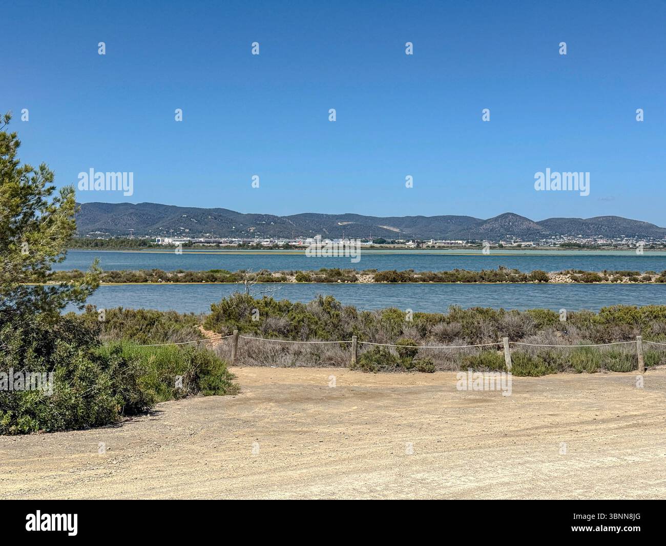 Parc Natural de ses Salines, Ibiza – zones humides côtières protégées, plaines salines et faune sauvage dans les Baléares - Image de stock capturée avec un smartphone