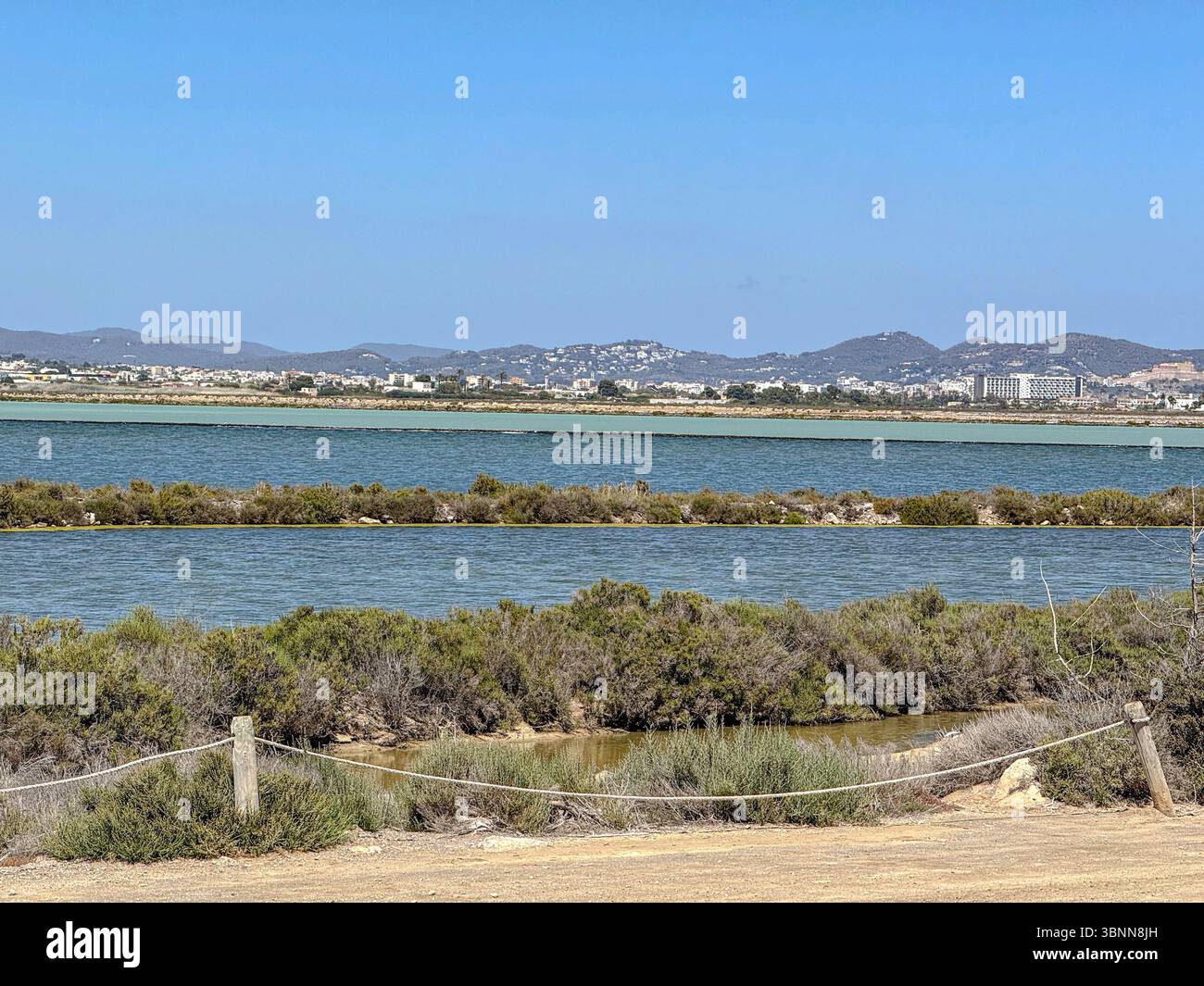 Parc Natural de ses Salines, Ibiza – zones humides côtières protégées, plaines salines et faune sauvage dans les Baléares - Image de stock capturée avec un smartphone