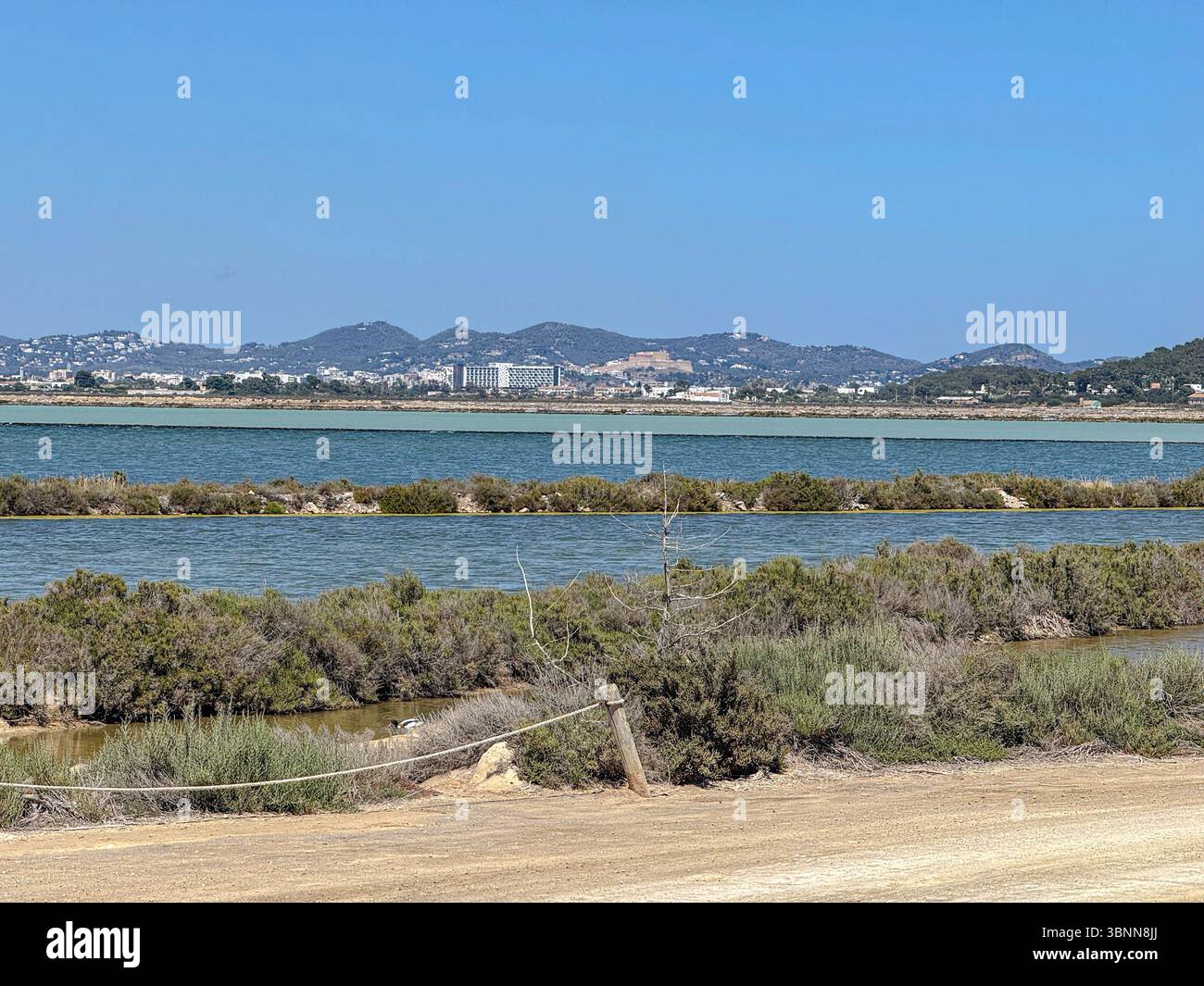 Parc Natural de ses Salines, Ibiza – zones humides côtières protégées, plaines salines et faune sauvage dans les Baléares - Image de stock capturée avec un smartphone