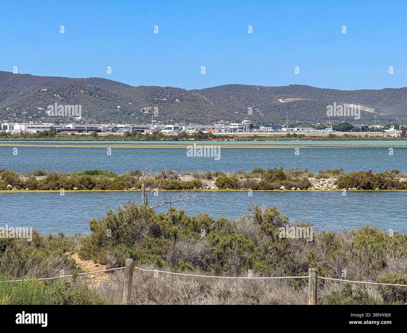 Parc Natural de ses Salines, Ibiza – zones humides côtières protégées, plaines salines et faune sauvage dans les Baléares - Image de stock capturée avec un smartphone