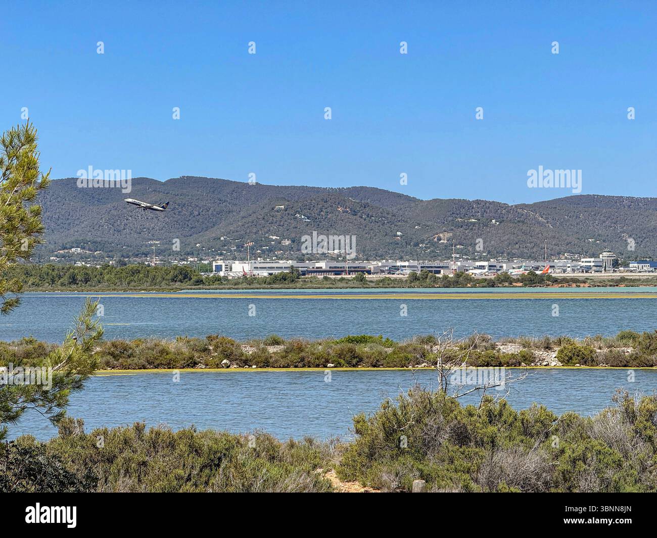 Parc Natural de ses Salines, Ibiza – zones humides côtières protégées, plaines salines et faune sauvage dans les Baléares - Image de stock capturée avec un smartphone