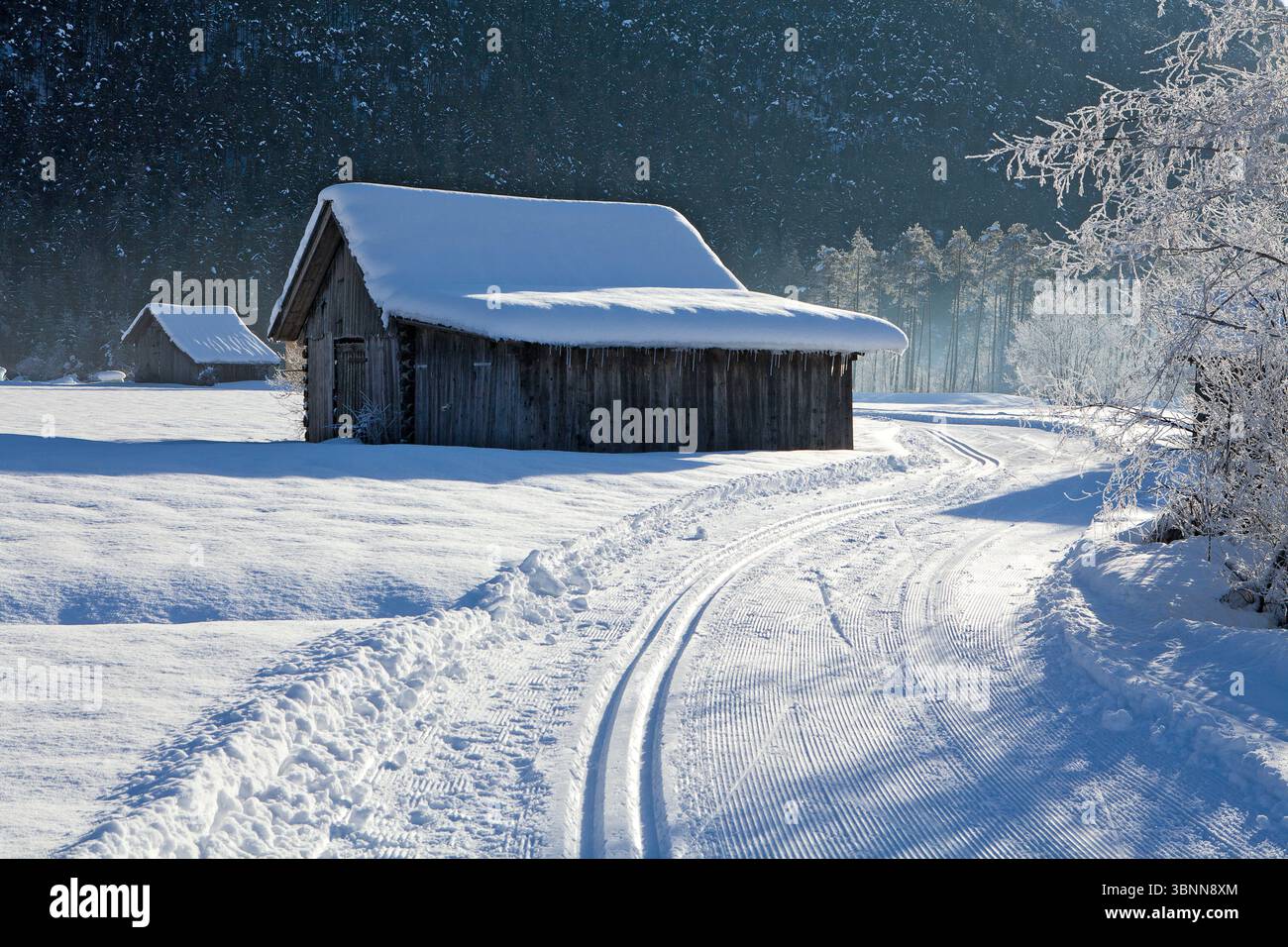 Piste de ski de fond à Gurgltal près d'Imst, Tyrol Banque D'Images
