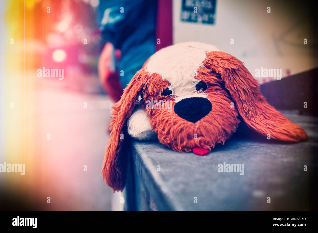 Animal en peluche sur un conteneur de vêtements usagés à Scharbeutz, Schleswig-Holstein, Allemagne Banque D'Images