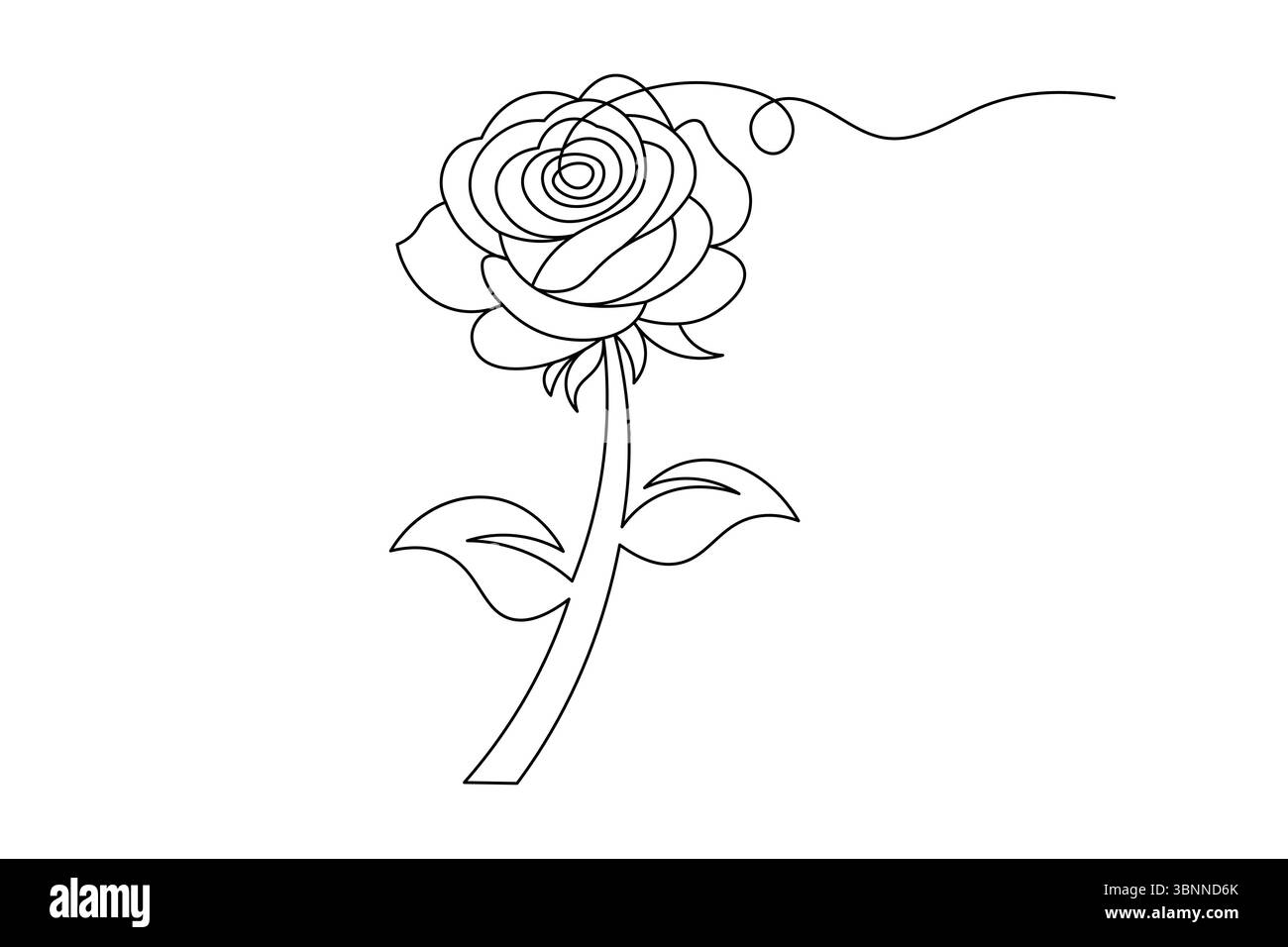 Dessin à la rose ligne unique Design minimaliste de fleurs d'art en ligne continue. vecteur Illustration de Vecteur