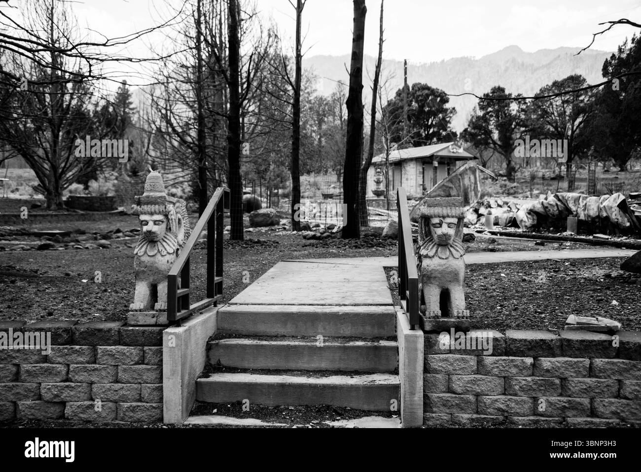 Voici ce qu'il reste d'une maison dans la forêt nationale de Dixie qui a brûlé à la suite d'un incendie de forêt. Banque D'Images