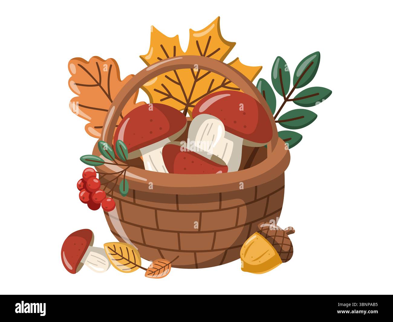 Illustration d'automne avec panier de champignons, feuilles d'automne colorées et baies. Illustration vectorielle de dessin animé sur fond blanc Illustration de Vecteur