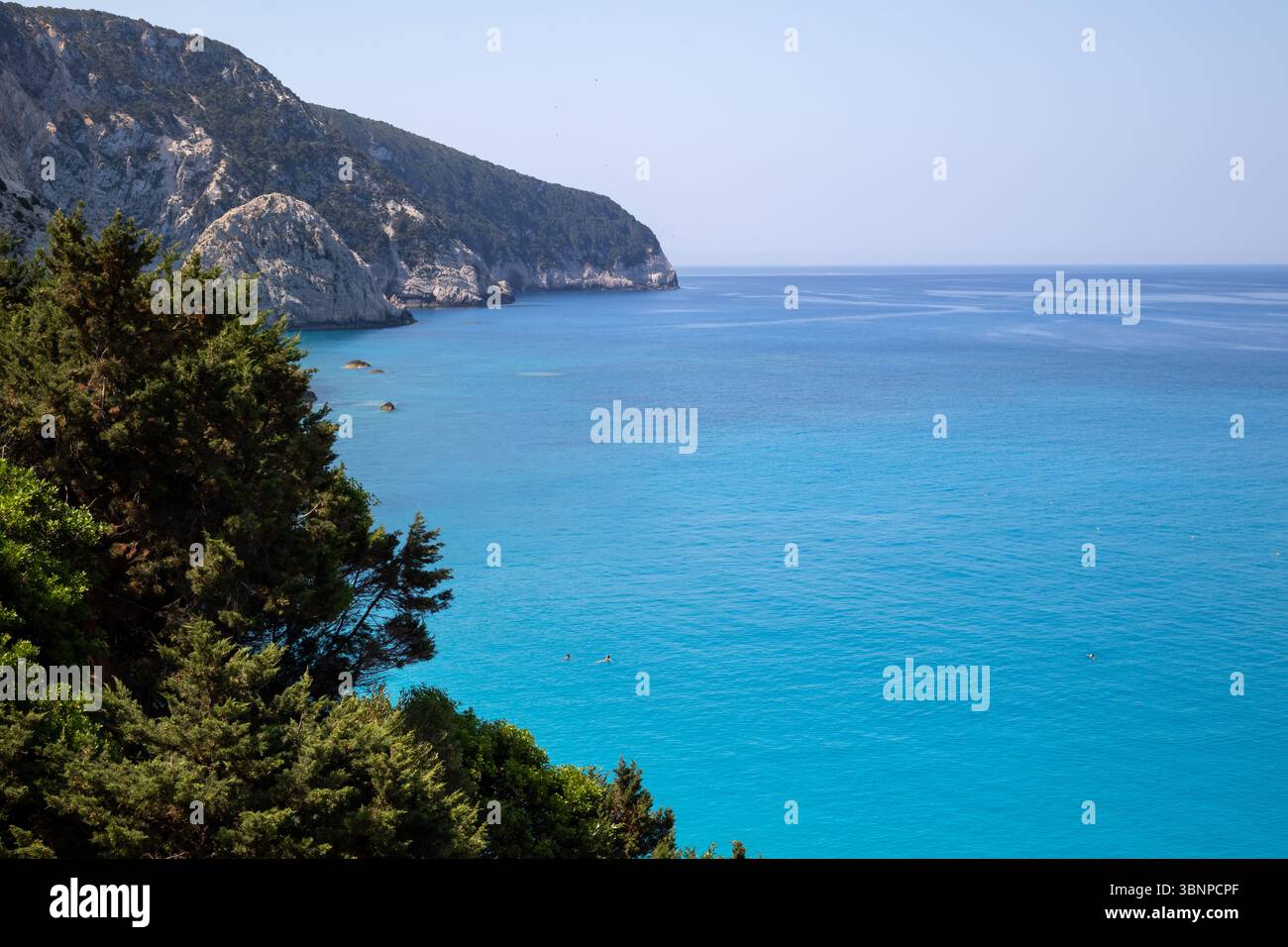 une vue imprenable sur la mer ionienne, avec des eaux turquoises vibrantes et des falaises blanches spectaculaires sous un ciel bleu clair. arbres verdoyants Banque D'Images
