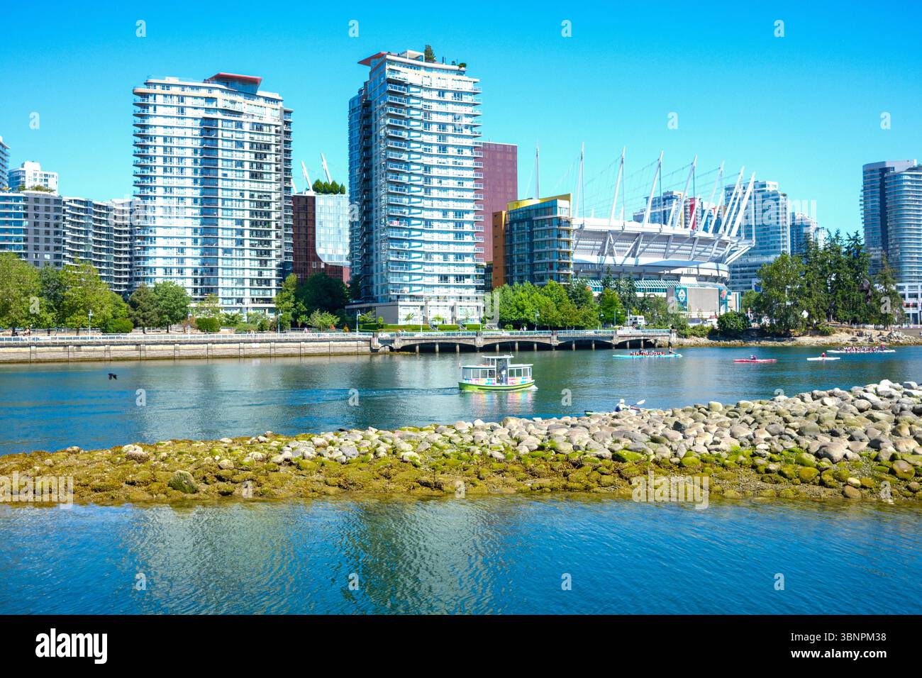 Un Aquabus et un groupe de bateaux-dragons se déplacent le long de False Creek devant le BC place Stadium et Habitat Island à Vancouver, en Colombie-Britannique. Banque D'Images