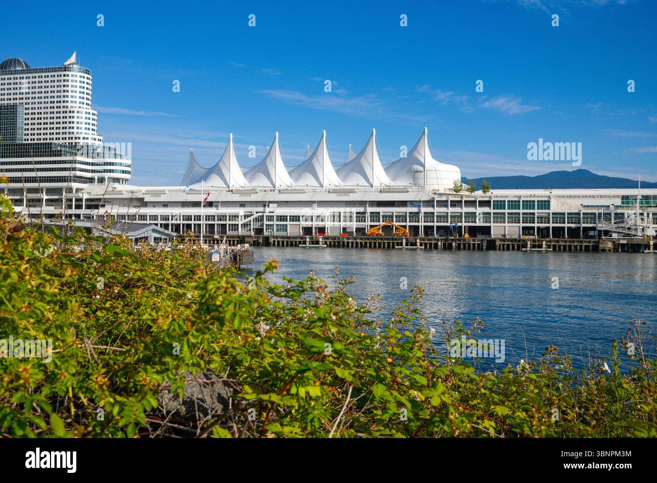 La vue sur Canada place, l'hôtel Pan Pacific et le terminal des bateaux de croisière à Coal Harbour, Vancouver, C.-B. Banque D'Images