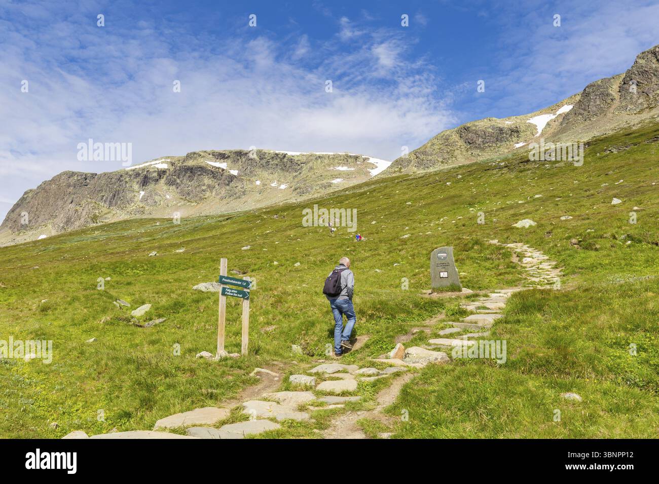 Geilo, Norvège, 17 juillet 2019 : les gens marchent jusqu'à Hallingskarvet à la station-service Prestholtseter près de Geilo en Norvège, Scandinavie, Geilo, Noorwegen, E. Banque D'Images