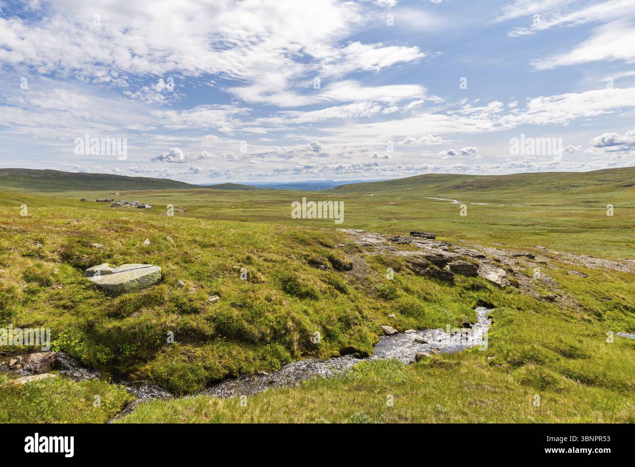 Landscaspe avec vue sur le centre de service Prestholtseter et café sous Hallingskarvet près de Geilo en Norvège, Scandinavie, Geilo, Noorwegen Banque D'Images