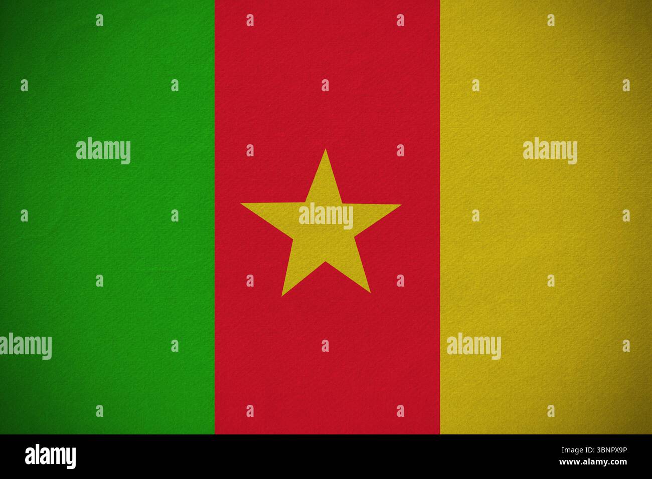 Le drapeau national du Cameroun est affiché sur un tissu texturé avec des bandes vert rouge jaune et étoile jaune Banque D'Images