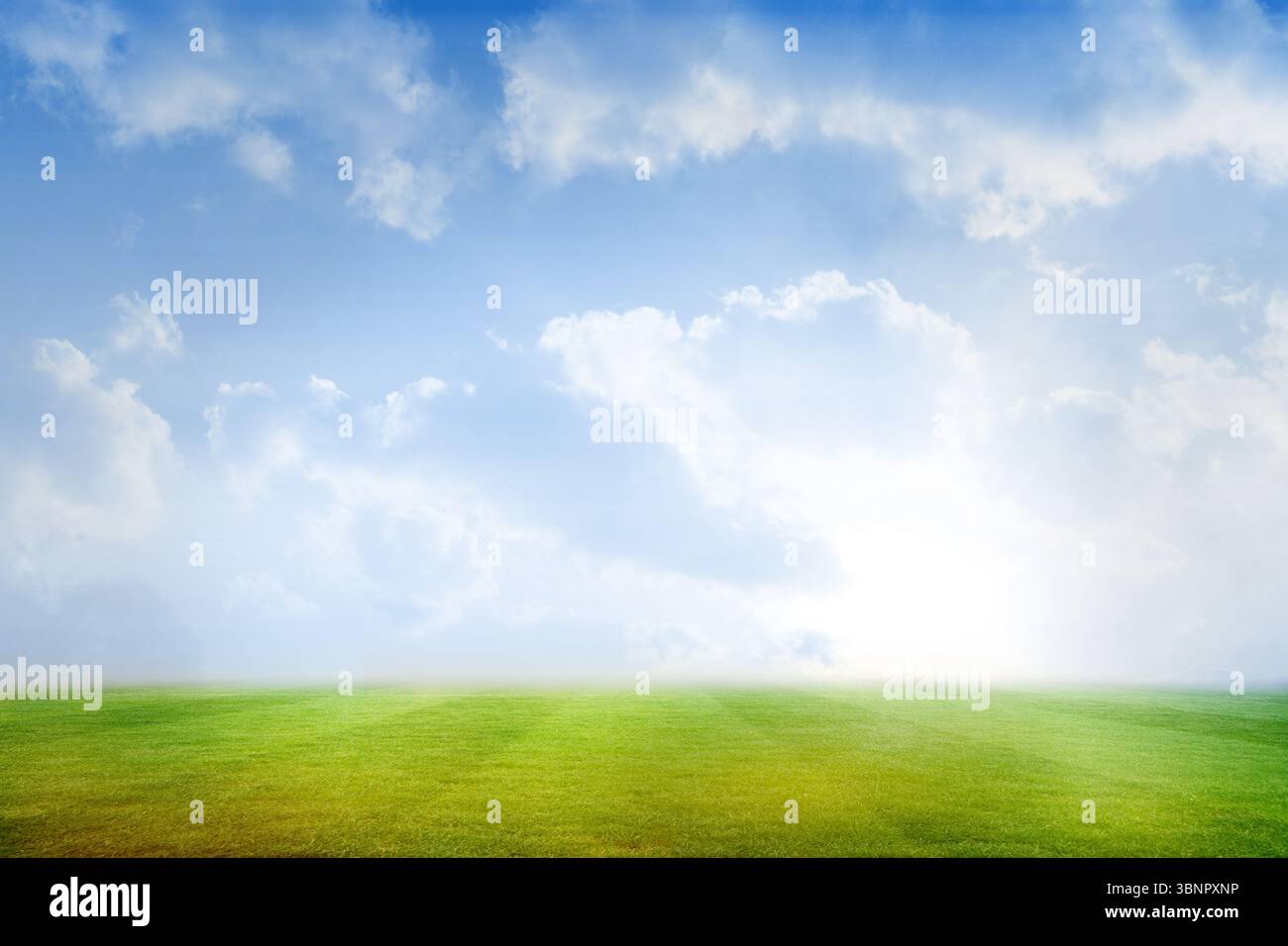 Terrain de football under blue sky Banque D'Images