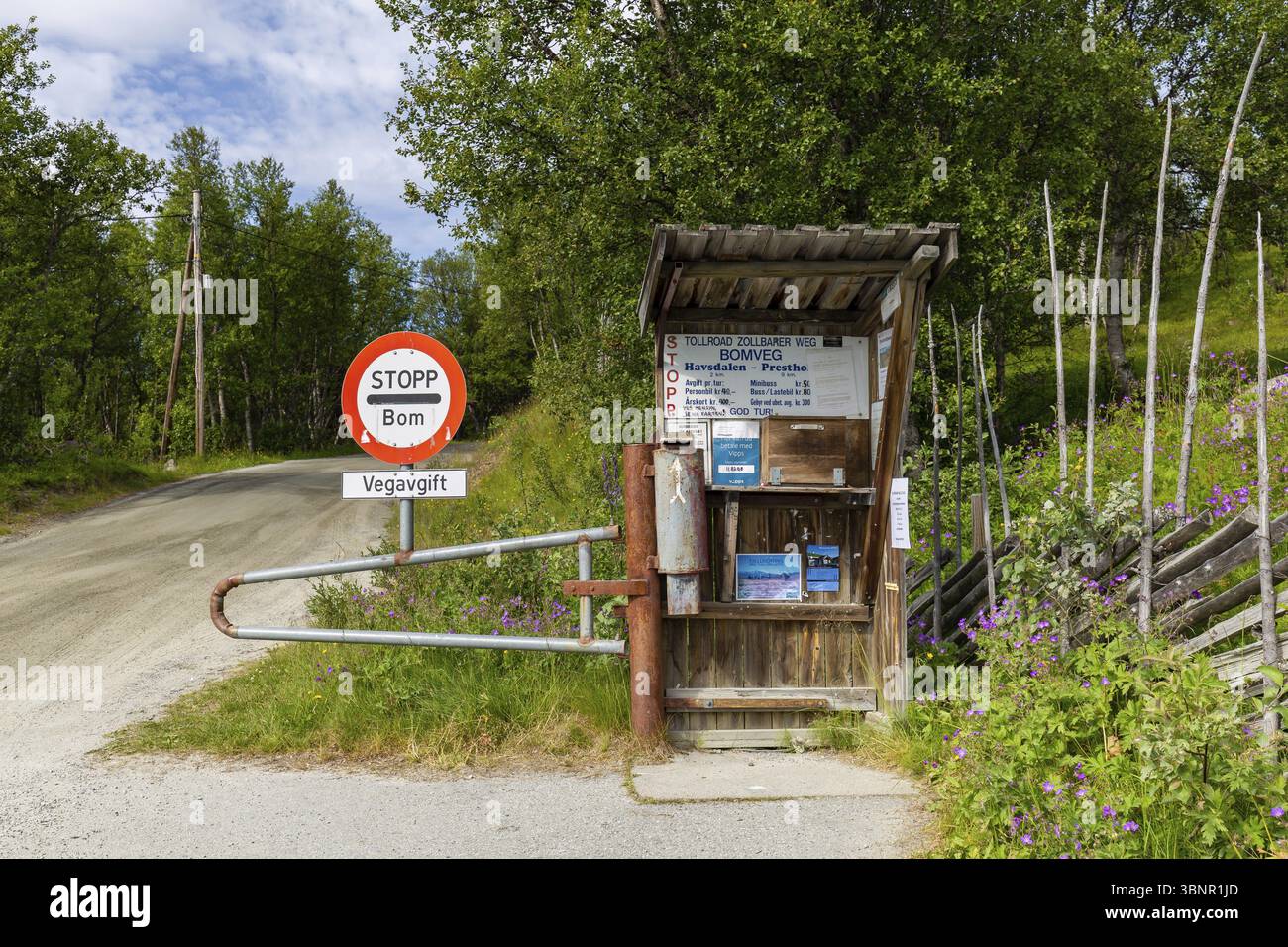 Geilo, Norvège, 17 juillet 2019 : route panoramique d'entrée Havsdalen Prestholt à Prestholtseter sous Hallingskarvet près de Geilo en Norvège, Scandinavie, Banque D'Images