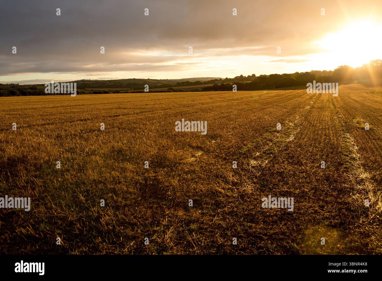 Vue sur la campagne contre le coucher du soleil Banque D'Images